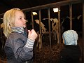 IMG_2939