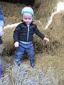 IMG_2949
