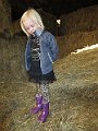 IMG_2953