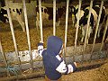 IMG_2955