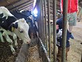 IMG_2958