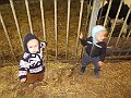 IMG_2964