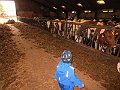 IMG_3025
