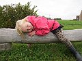 IMG_3132