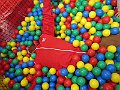 IMG_3221