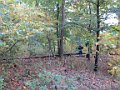 12 okt - Familietur til Boserup Skov