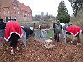 IMG_3432