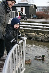 IMG_2985