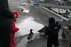 IMG_2988
