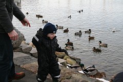 IMG_2990