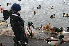 IMG_2991