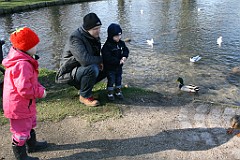 IMG_3485