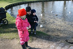 IMG_3493