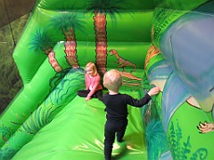 IMG_3781