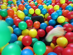 IMG_3799
