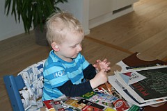 IMG_4247