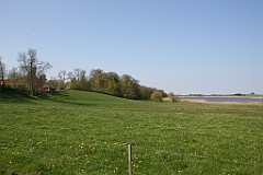 IMG_4257
