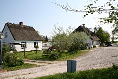 IMG_4262