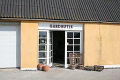 IMG_4264