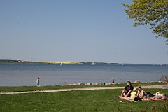 IMG_4279