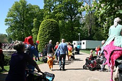 IMG_4751