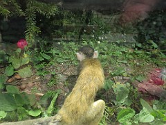 IMG_3989