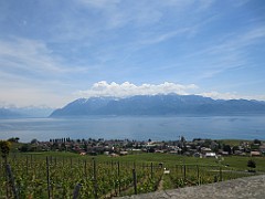 IMG_4157