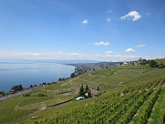 IMG_4164
