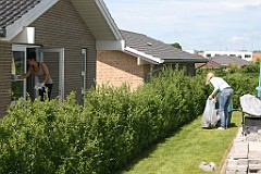 IMG_4920