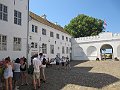 IMG_4356