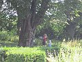 IMG_4379
