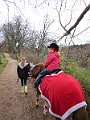 IMG_5084