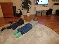 IMG_5089
