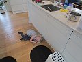 IMG_5379