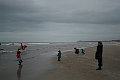 IMG_6749