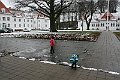 IMG_6817