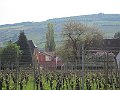IMG_5734