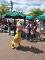 IMG_6216