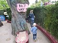 IMG_6238