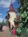IMG_5962
