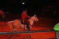IMG_5989m