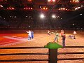 IMG_6005