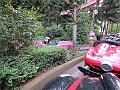IMG_6104