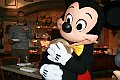 IMG_6151j