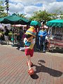 IMG_6209