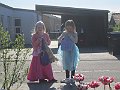 IMG_6355