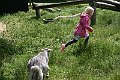 IMG_7956