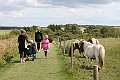 IMG_7972