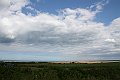 IMG_7982