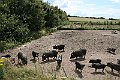 IMG_7985